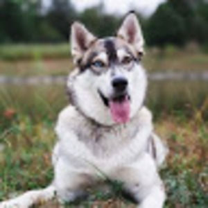 Meet your Posher, Madeline